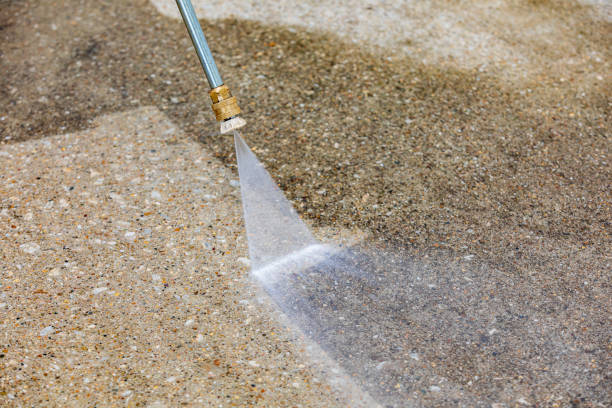 Animal Enclosure Cleaning in Kannapolis, NC